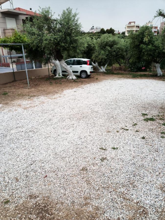 קאטו דרטסו Argo Apartments מראה חיצוני תמונה